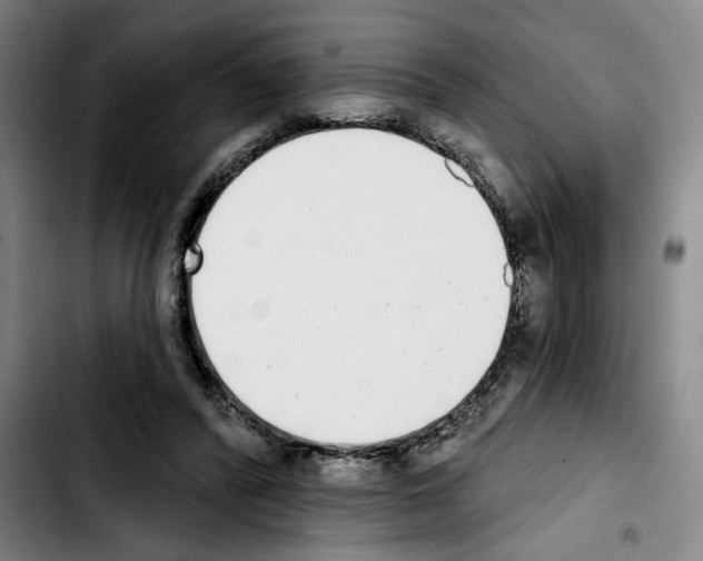X0000103440400200810241126
