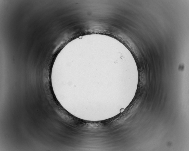 X0000103440401200810241126