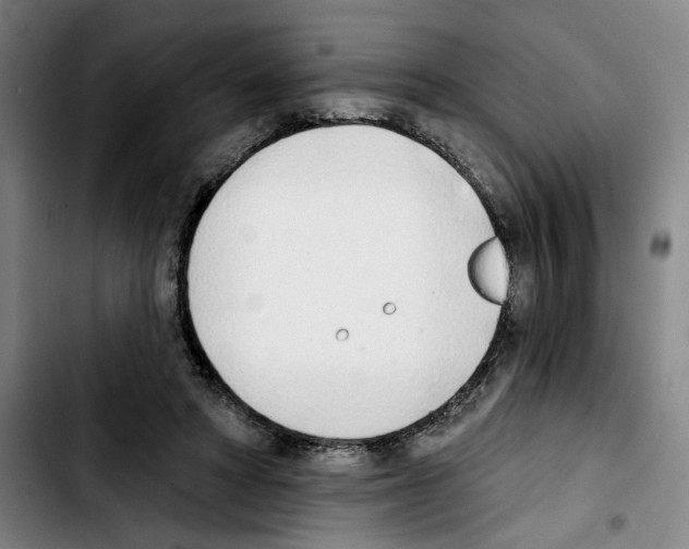 X0000103440402200810241126
