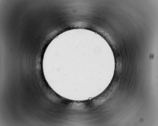 X0000103440403200810241126
