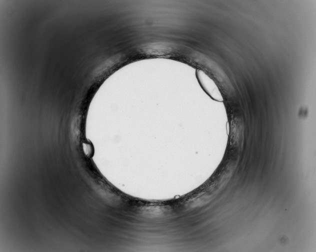 X0000103440404200810241126