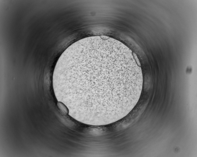 X0000103440405200810241126