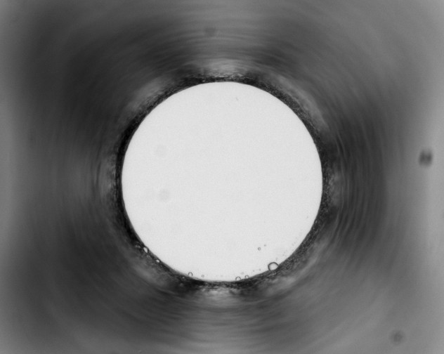 X0000103440407200810241126