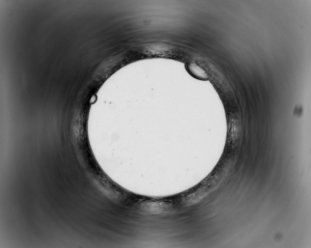 X0000103440408200810241126