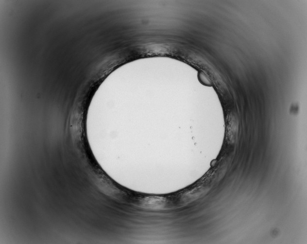 X0000103440410200810241126