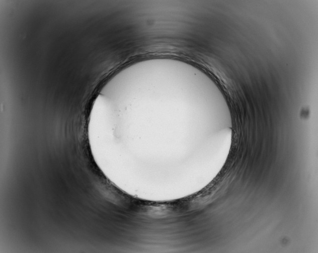 X0000103440411200810241126