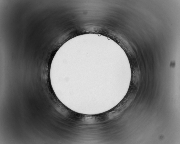 X0000103440413200810241126
