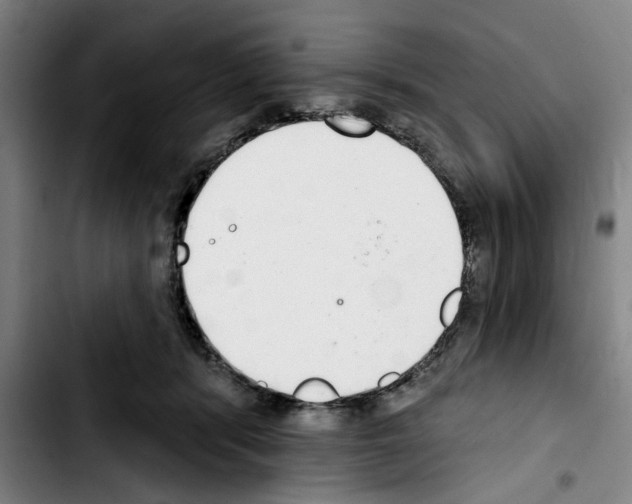 X0000103440416200810241126