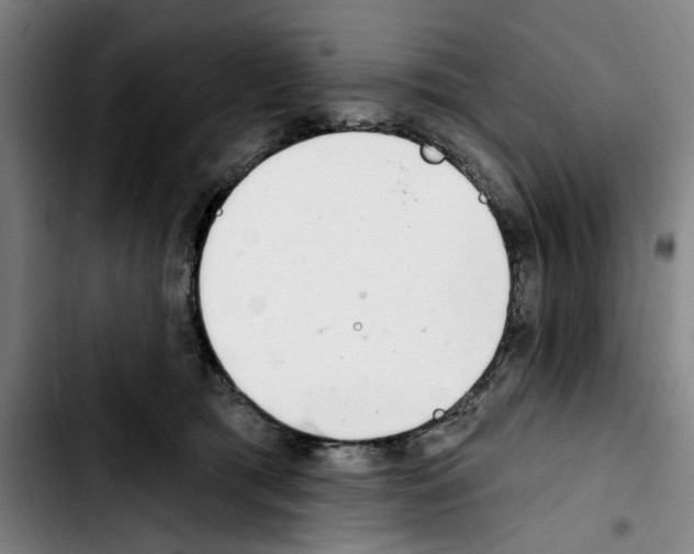 X0000103440417200810241126