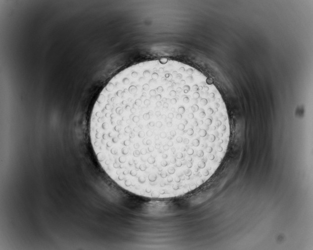 X0000103440418200810241126