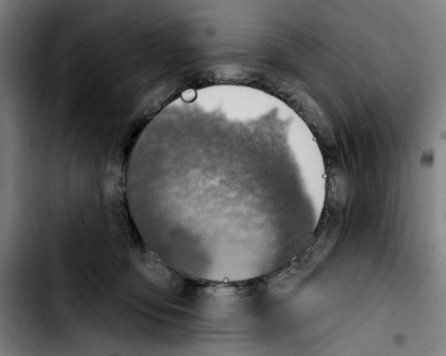 X0000103440419200810241126