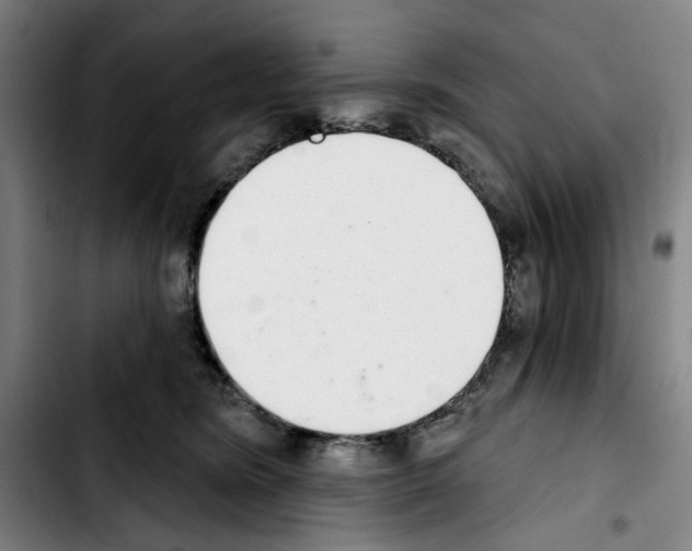 X0000103440420200810241126