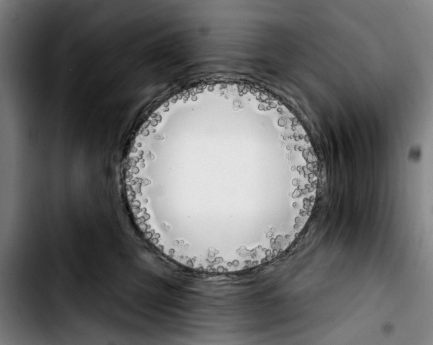 X0000103440423200810241126