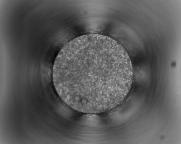 X0000103440427200810241126