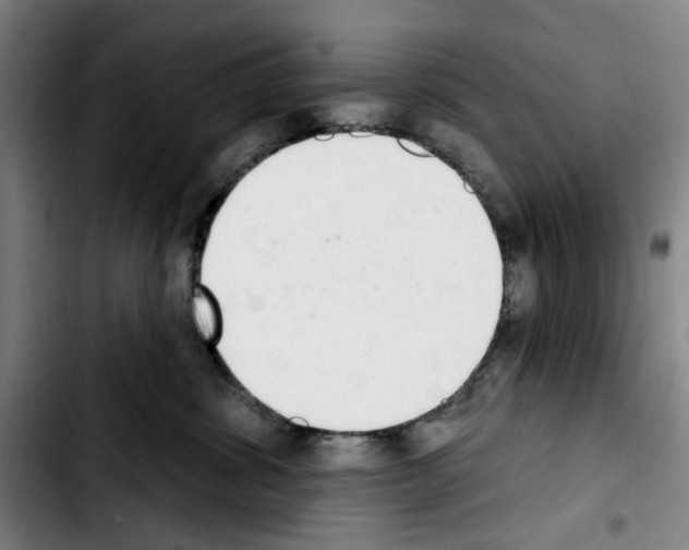 X0000103440428200810241125