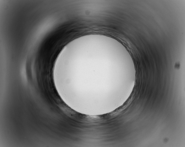 X0000103440429200810241125
