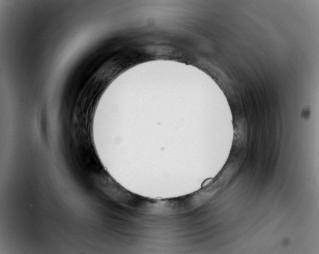 X0000103440430200810241125
