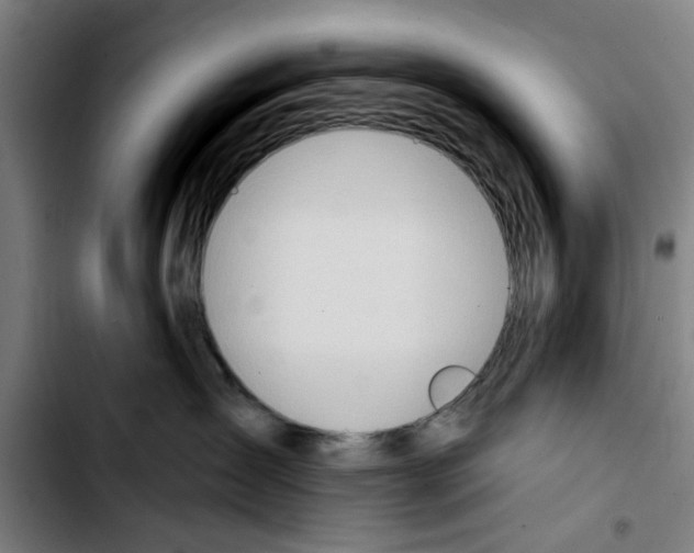 X0000103440431200810241125