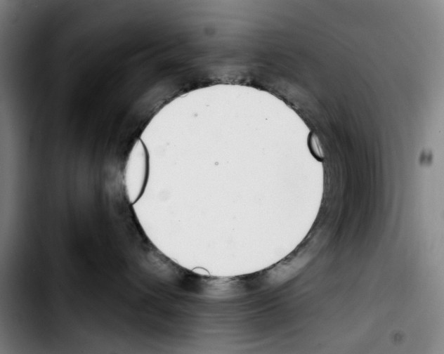 X0000103440432200810241125