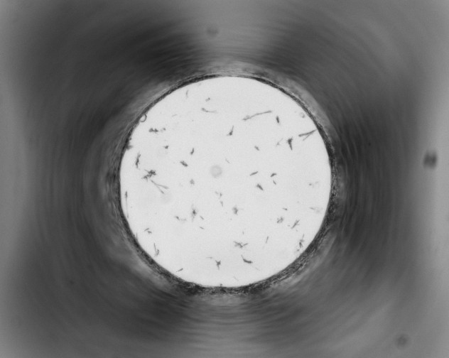 X0000103440433200810241125
