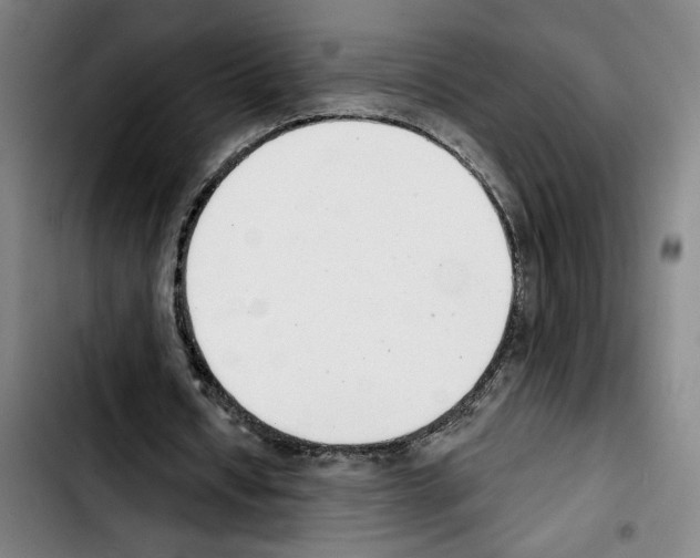 X0000103440434200810241125