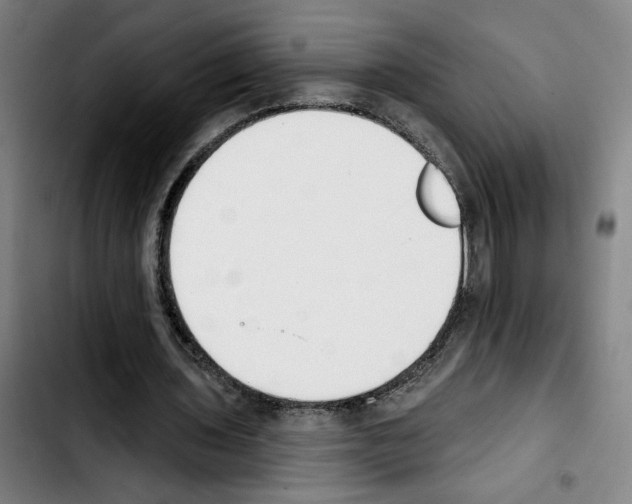 X0000103440435200810241125