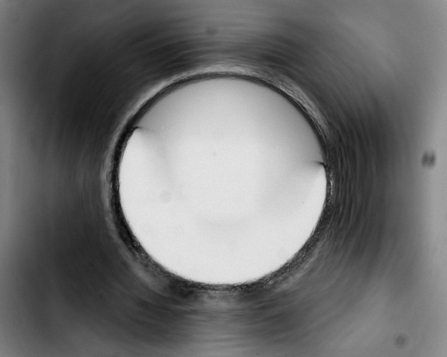 X0000103440436200810241125