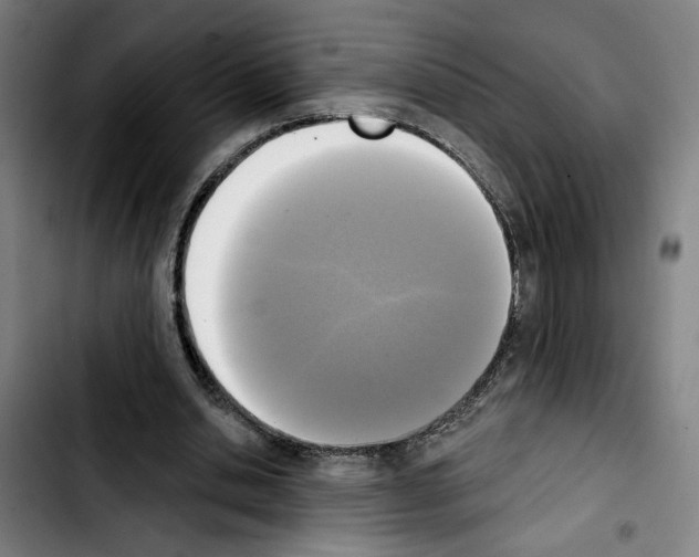 X0000103440438200810241125