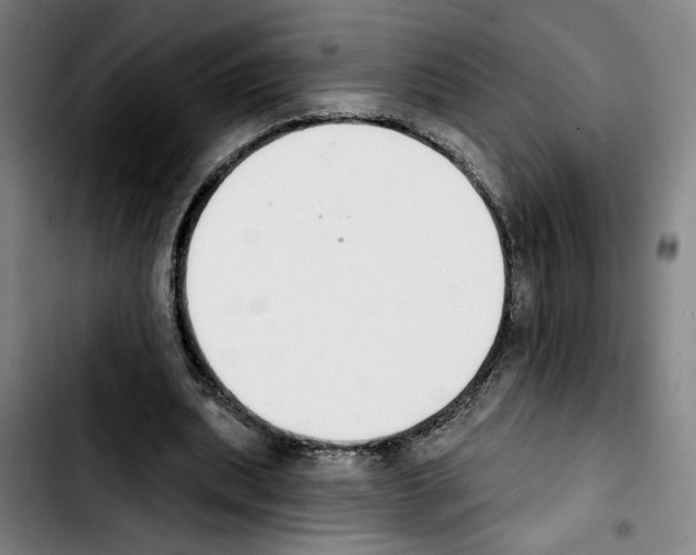 X0000103440439200810241125