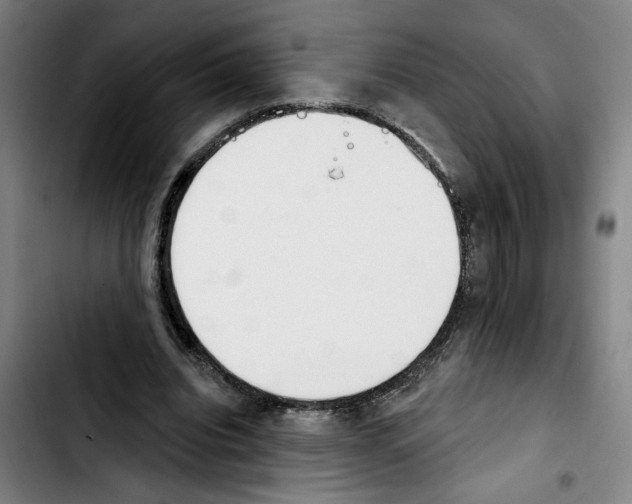 X0000103440440200810241125