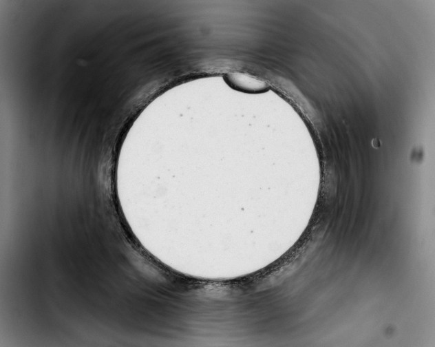 X0000103440441200810241125