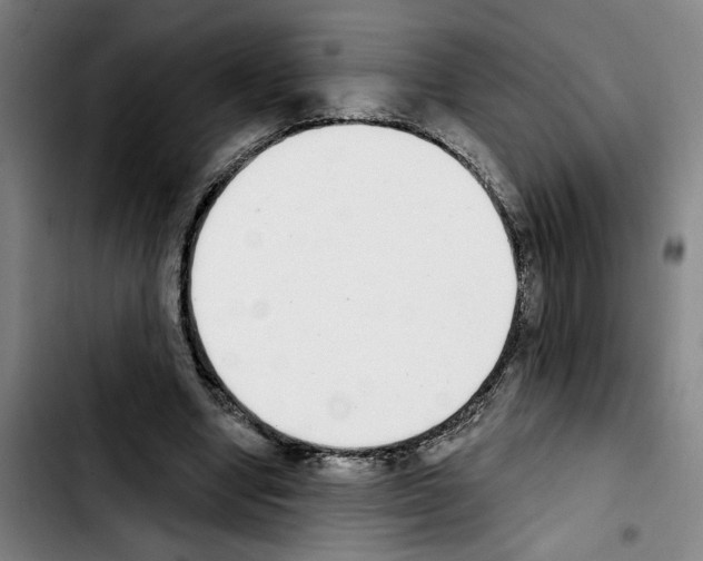 X0000103440442200810241125