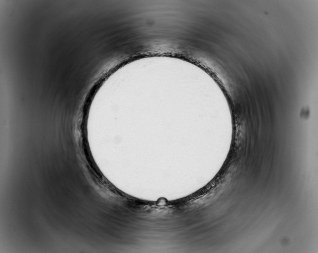 X0000103440443200810241125