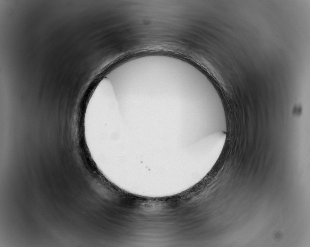 X0000103440444200810241125