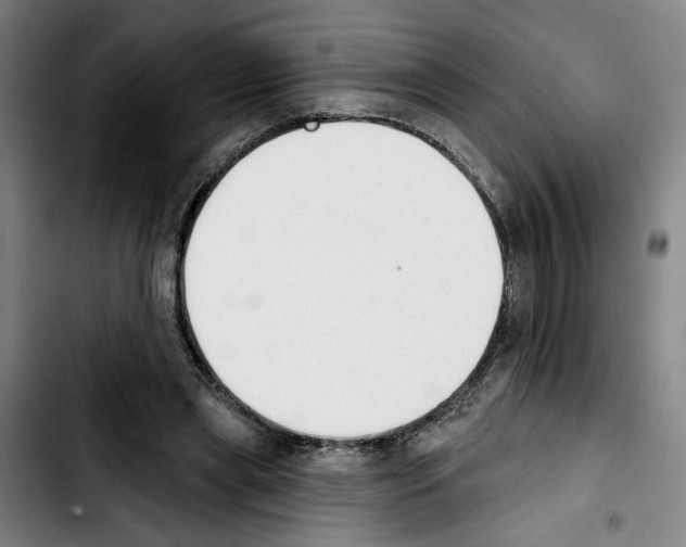 X0000103440445200810241125