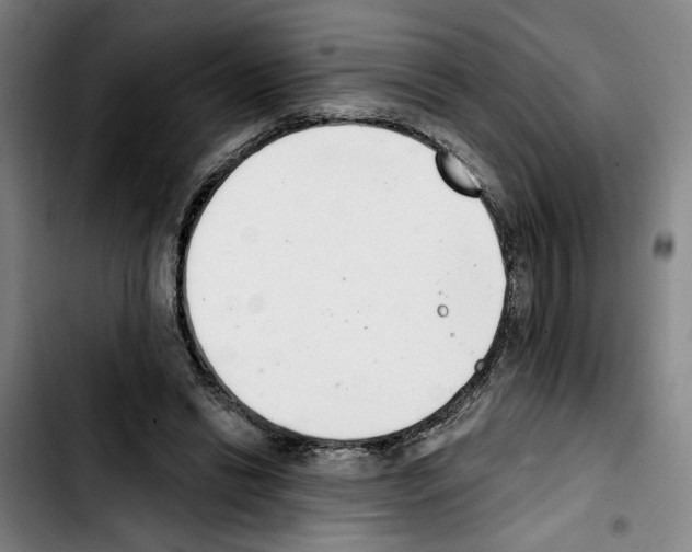 X0000103440446200810241125