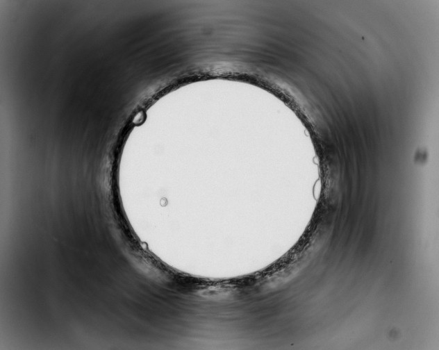 X0000103440447200810241125