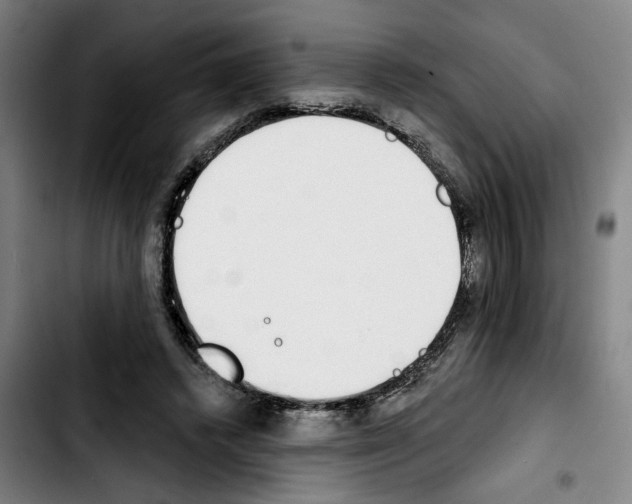 X0000103440448200810241125