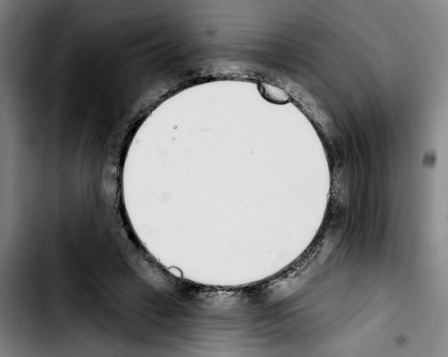 X0000103440449200810241125