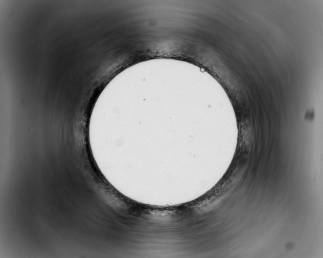 X0000103440450200810241125