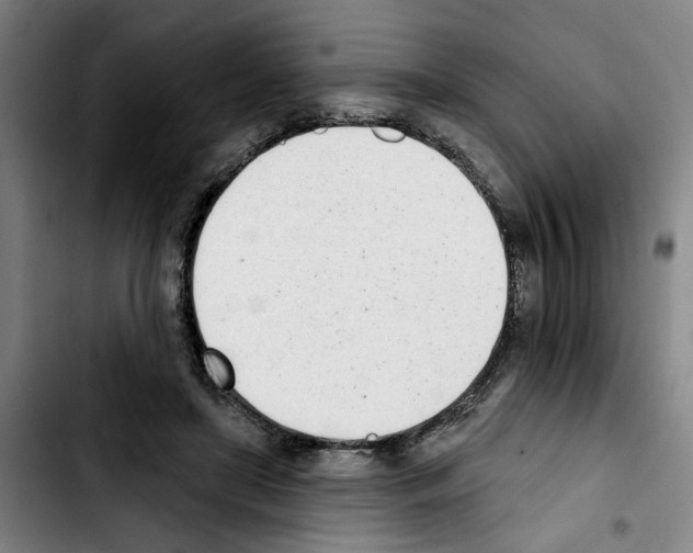 X0000103440451200810241125
