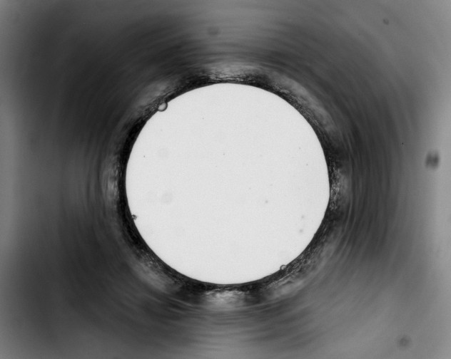 X0000103440452200810241125