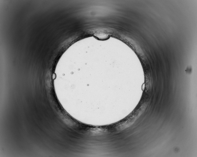 X0000103440453200810241125