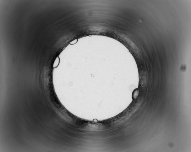X0000103440455200810241125