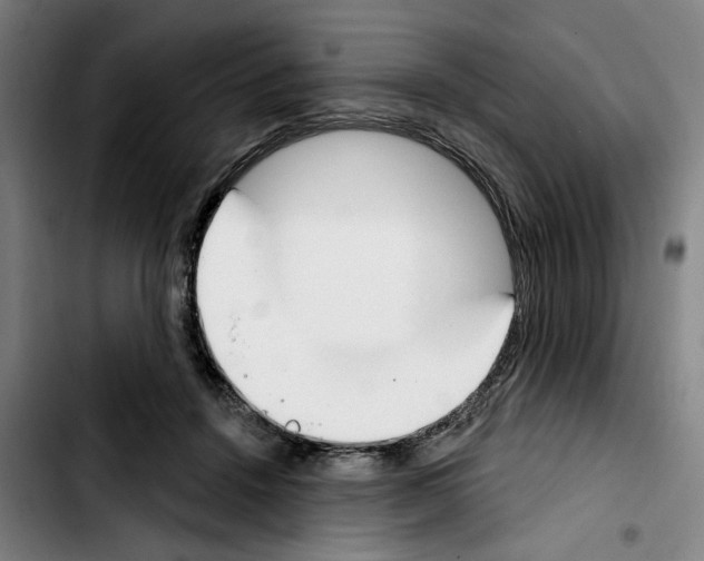X0000103440456200810241125