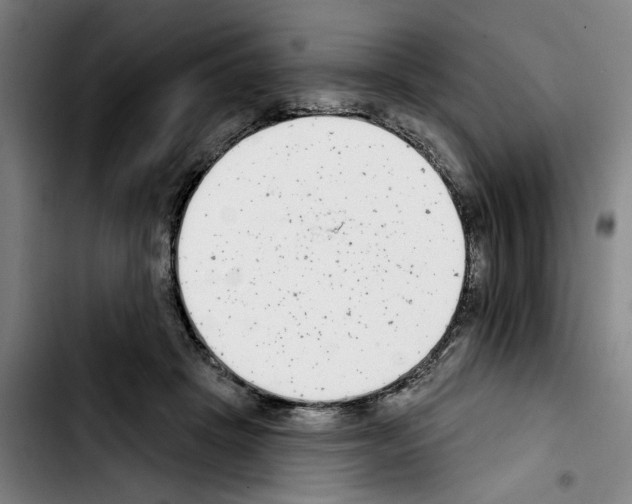 X0000103440457200810241125