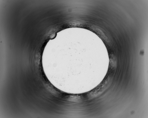 X0000103440458200810241125