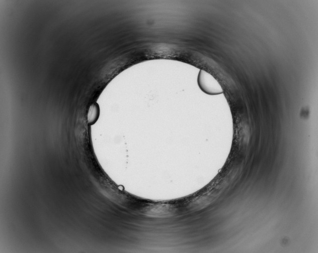 X0000103440459200810241125