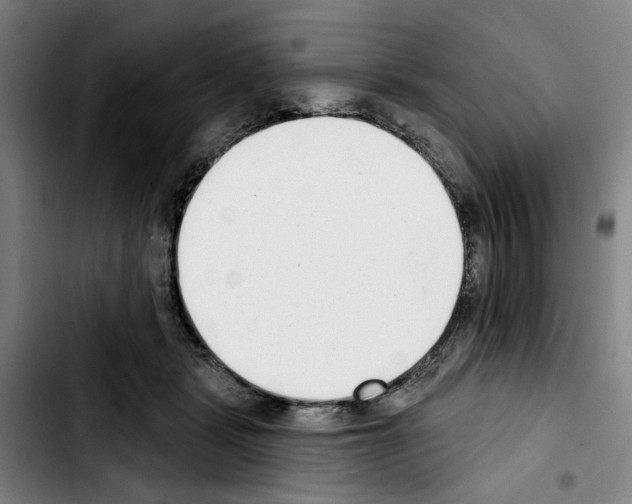 X0000103440461200810241125