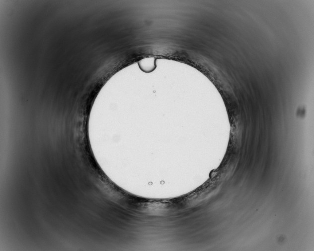 X0000103440462200810241125